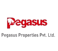 Pegasus-Properties-Private-Limited.png